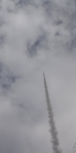 2013 Svojek Mirek Topinka